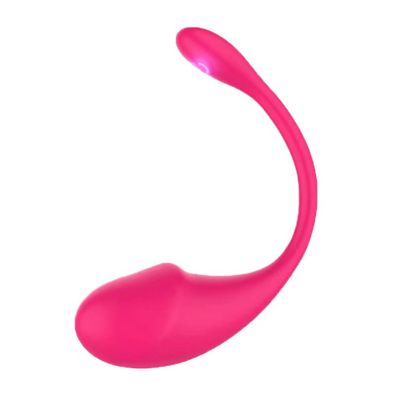 Bluetooth Love Egg Vibrator for Women Bluetooth Love Egg Vibrator for Women