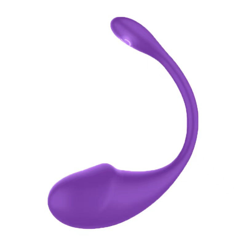 Bluetooth Love Egg Vibrator for Women
